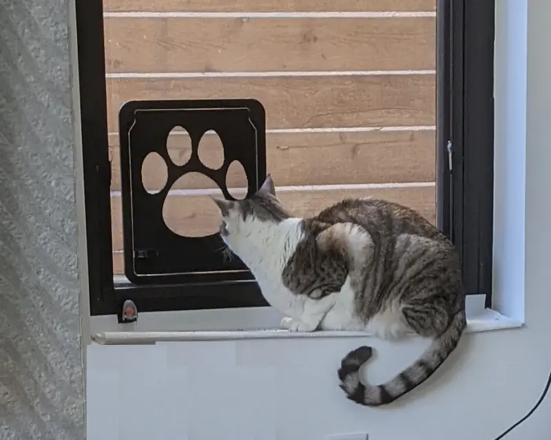 Cat Door Sensor