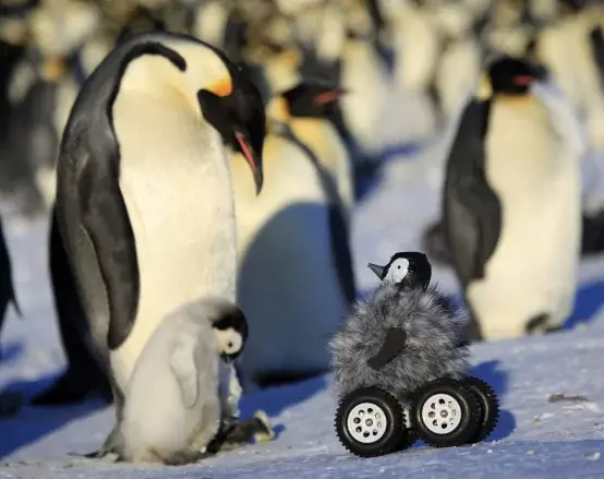 A New Robopenguin Enters the World
